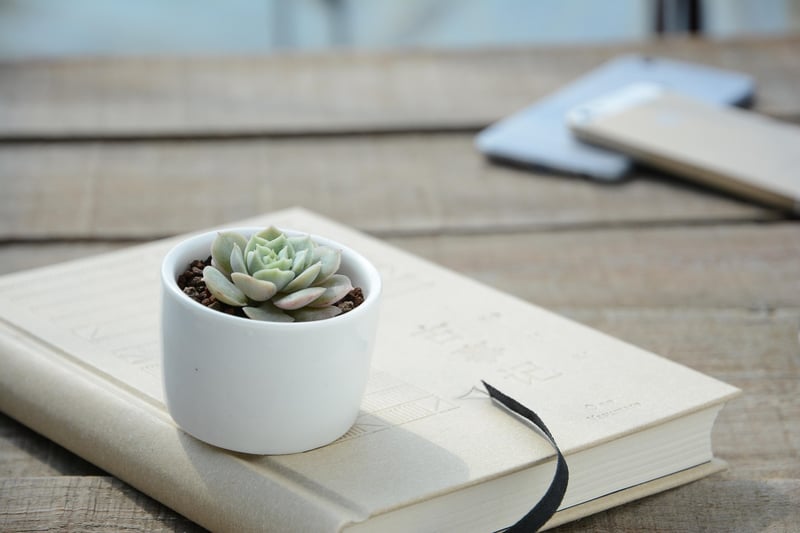 Recycled Planters